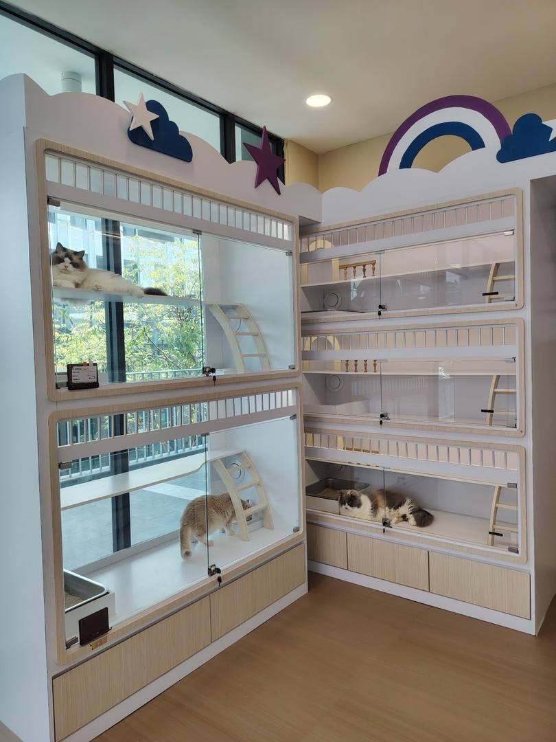 Just Cat City 店内环境