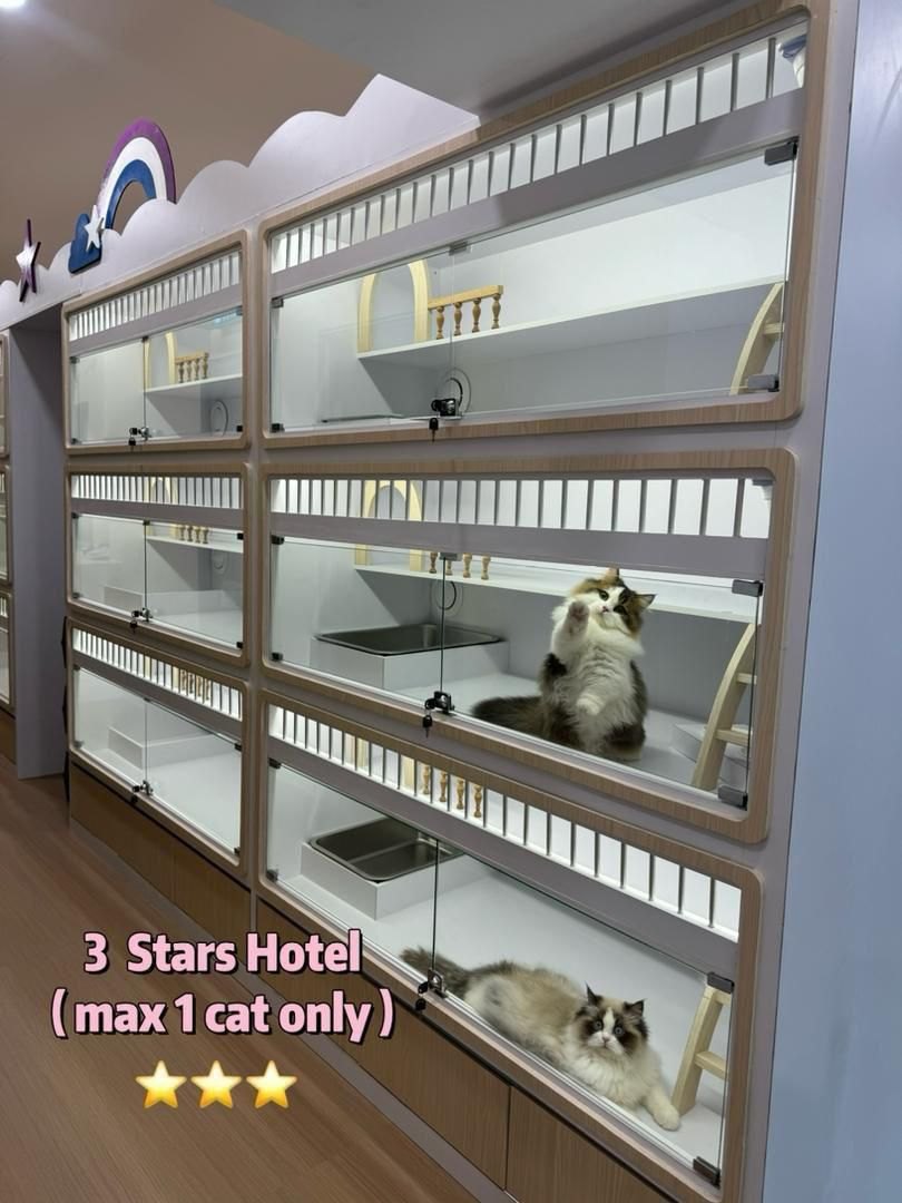 奢华美容 Spa